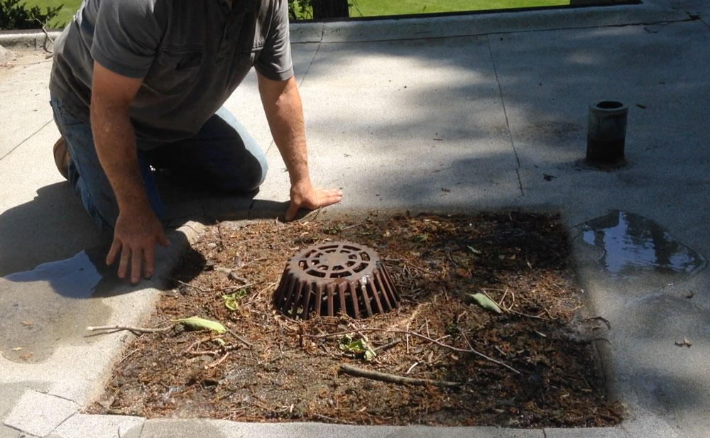 Flat Roof Drains - Drain with a catchment basin used to collect debris. Flat Roof Drains - Drain with a catchment basin used to collect debris.