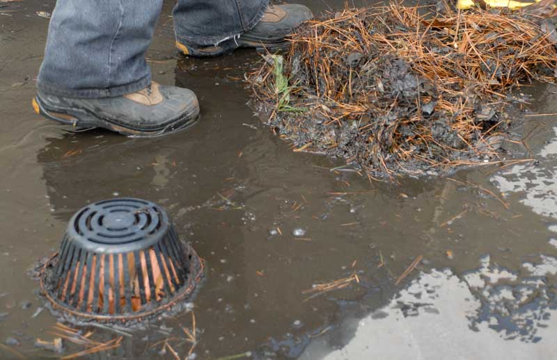 Debris around a strainer and drain will eventually clog drains up Debris around a strainer and drain will eventually clog drains up